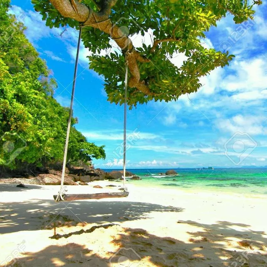 Maiton Island Half Day Private Speed Boat Charter