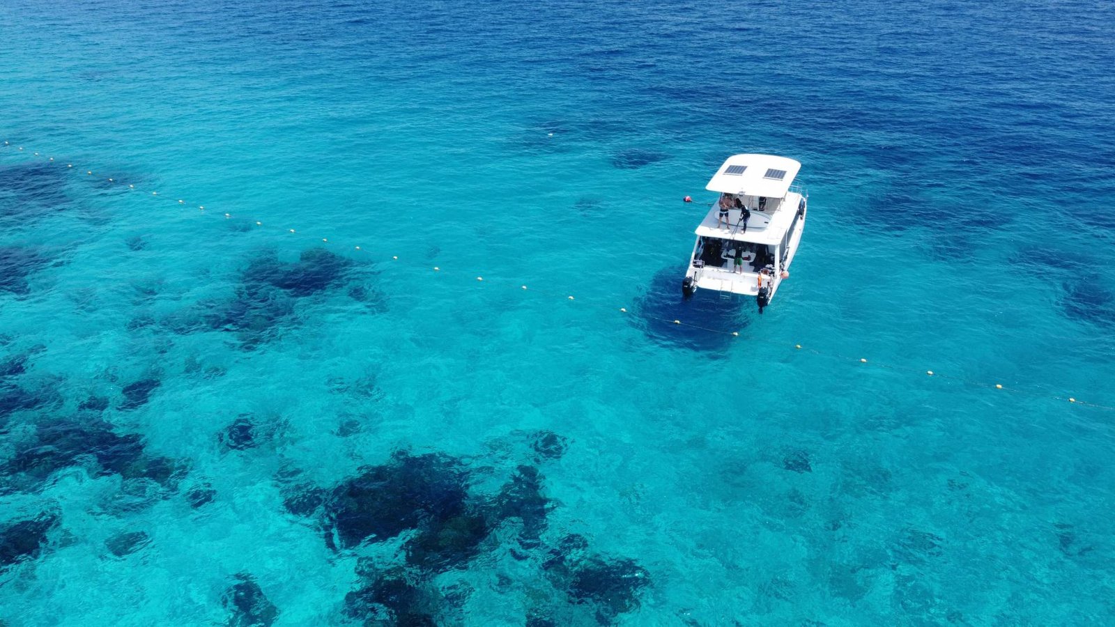 Private Snorkeling Trips