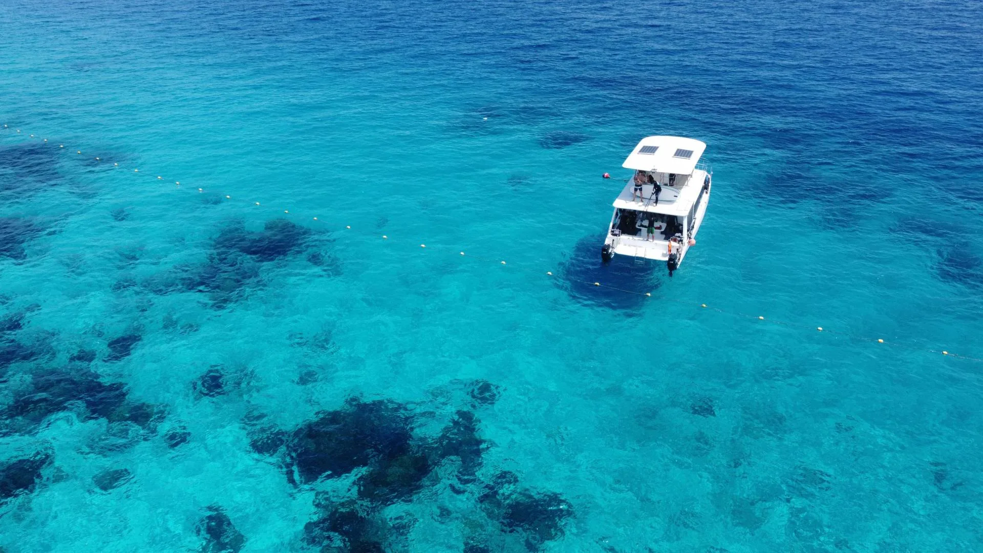 Private Snorkeling Trips