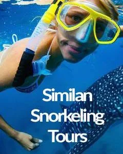 Phuket Snorkeling Similan Islands Day Trip