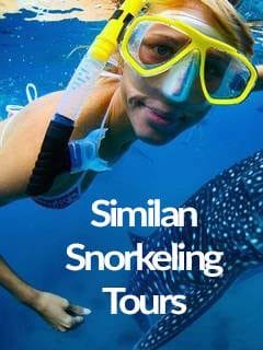 Phuket Snorkeling Similan Islands Day Trip