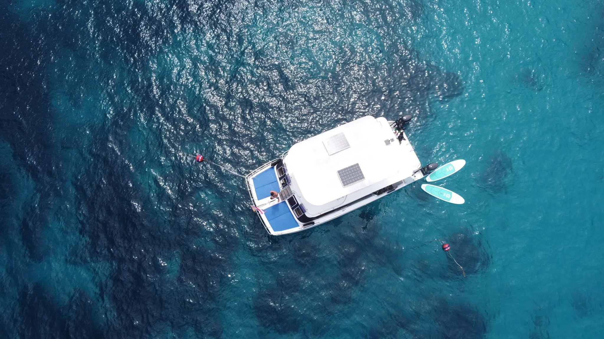 Phuket Snorkeling Tours Day Trips & Private Speedboat Hire